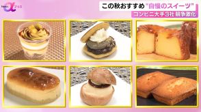 【注目】コンビニ大手3社が“秋のおすすめスイーツ”発表　秋の味覚を使用した手作りデザートなど登場