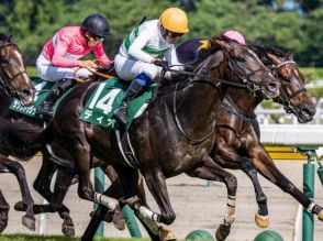 中山芝は超高速馬場 内枠＆持ち時計があるディオが軸だ