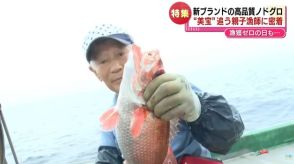 【特集】高級魚のノドグロ　新ブランド“美宝”を追う親子漁師に密着！　漁師が料理人につなぐ「宝のバトン」食卓に届くまで《新潟》