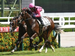 【京成杯AH予想】秋競馬の開幕告げる名物ハンデ重賞 サマーマイル王者の行方は