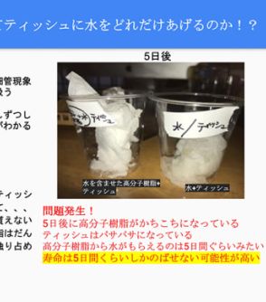 青木裕子も夢中に！「妹のオムツ」に注目した小学2年生の「砂漠緑地化実験」とは