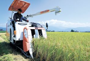 長野県松本地域で稲刈りが本格化