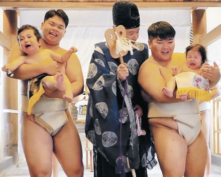 赤ちゃん相撲泣き笑い　射水神社で１６０人が取組