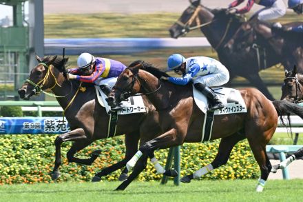 ハードワーカー首差逃げ切り　佐々木騎手も「いい勝ち方」／新馬戦