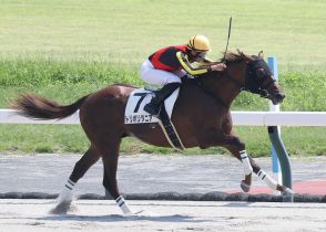 トリポリタニア押し切り勝ち「あれだけの脚を使ってまだ余力あった」／新馬戦