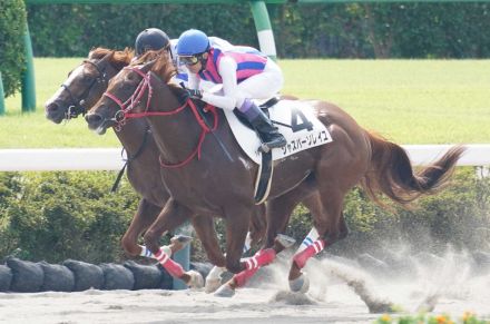 【中山1R】「凄いピッチ走法」武豊ジャスパーソレイユ初勝利「時計もいい」