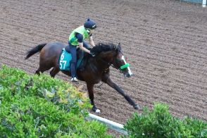 【今日の注目新馬】ゲルチュタールの叔父は2歳GⅠ馬キラーアビリティ　杉山晴師「能力はありそう」／中京5R