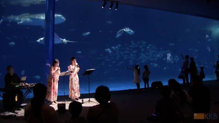 子ども食堂に通う児童らを夜の水族館に招待