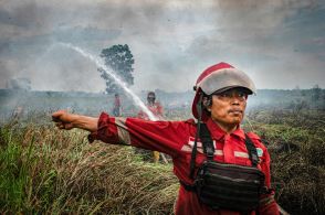 【今日の1枚】山火事に立ち向かう消防士 インドネシア