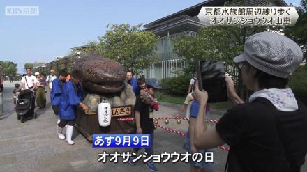 9月9日はオオサンショウウオの日　京都水族館が山車引き体験　11月まで様々なイベント実施