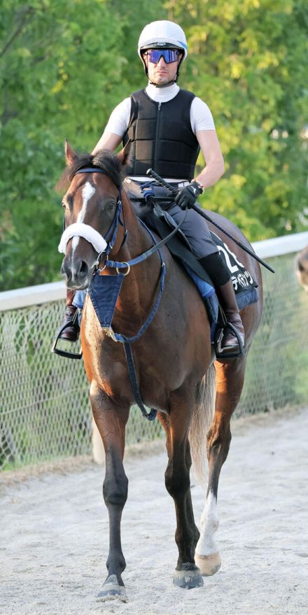 日曜中山競馬場の注目激走馬…中山１１Ｒ京成杯オータムハンデキャップ・Ｇ３