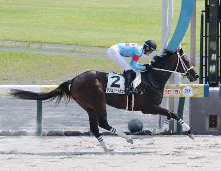 【中京６Ｒ】１勝クラスで砂のモンスター出現にネット仰天「化け物の予感」「牝馬なのも含めて衝撃的」「強さに驚がく」