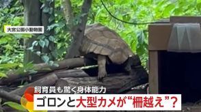 【驚異の身体能力】大型カメが柵越え…飼育員もびっくり!「乗り越えられないような高さなのに…」　埼玉・大宮公園小動物園