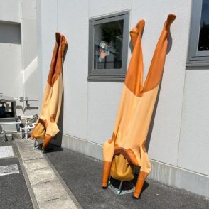 水族館にあった「一夜干し」にビックリ！　じぇじぇじぇな南部もぐりでした　もぐらんぴあ水族館に聞く