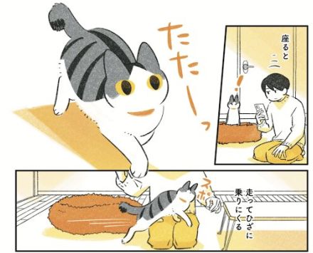 おじいちゃん猫の穏やかさや愛らしさに癒される！ 猫と飼い主の絆を描いた『じじ猫くらし』【書評】