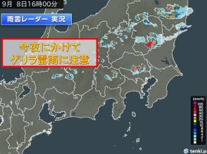 関東の所々で雨雲や雷雲が発達　今夜にかけてゲリラ雷雨に注意　明日も所々で雷雨