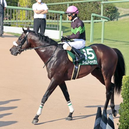 【京成杯ＡＨ】１４番人気タイムトゥヘヴンが激走２着　柴田善臣騎手「状態が上がっているのを感じていました」