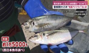 【長崎いまコレ】観光客が増加！聖地宣言から5年  ”アジフライの聖地・松浦市