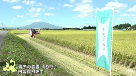 青森県産のブランド米「青天の霹靂」の刈り取り　食味ランキング特A復活目指して