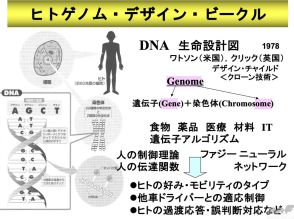 ヒトゲノム・デザイン・ビ－クルとは？ 遺伝子アルゴリズムによる最適設計【シン自動車性能論】