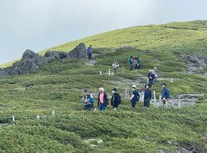 ライチョウの姿を探して　北アルプス乗鞍岳　学びと発見の観察ツアー