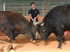 三度の飯より牛が好き　“ウシ活”高校生の夏　【どローカルリポート】沖縄