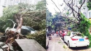 中国、猛暑を冷やすために人工雨を降らせた後…中型台風並みの暴風雨が襲う