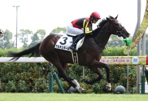 ゲルチュタール人気に応えた「伸びしろのある馬」今後の成長期待／新馬戦