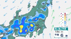 関東甲信では夜遅くにかけて雷伴いバケツをひっくり返したような激しい雨か　週の中頃は東海や北陸でも激しい雨の恐れ【14日（土）午前3時までの雨のシミュレーション・9日午前11時更新】