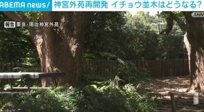 神宮外苑再開発 シンボルのイチョウ並木はどうなる？ 一部を残そうと住民らは事業者側との意見交換求める