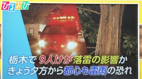 各地でゲリラ豪雨 「雷」から身を守るにはー 音楽イベントで9人けが 落雷の影響か?【ひるおび】