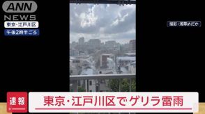 【速報】東京・江戸川区でゲリラ雷雨