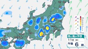 10日夜のはじめ頃にかけて関東甲信ではバケツをひっくり返したような激しい雷雨の恐れ　東海でも10日夜遅くにかけて激しい雷雨か【14日（土）までの雨のシミュレーション・9日午後5時更新】