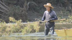 錦川に秋を告げる風物詩　落ちアユ漁の季節を前に川下りを遮る「せき」を設置　山口県岩国市