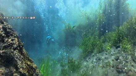 世界遺産“忍野八海”で迷惑観光客投げ入れのコイン回収…大量のコインやスマホ・傘まで