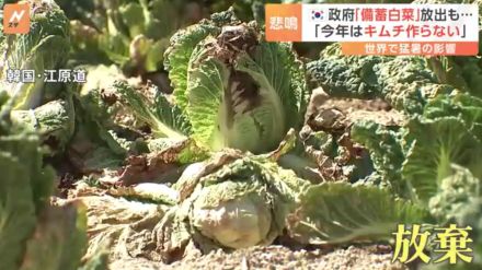 「夏野菜でさえ夏バテ」暑さで葉もの野菜高騰！韓国ではキムチに欠かせない「備蓄白菜」も放出する事態に…