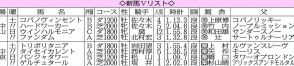 【新馬戦総括】タイセイカレント　大舞台意識できる素材