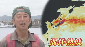 『海洋熱波』発生「海面水温6度上がった」三陸沖は世界で最も水温が上昇した場所に　海の異変で漁師困惑