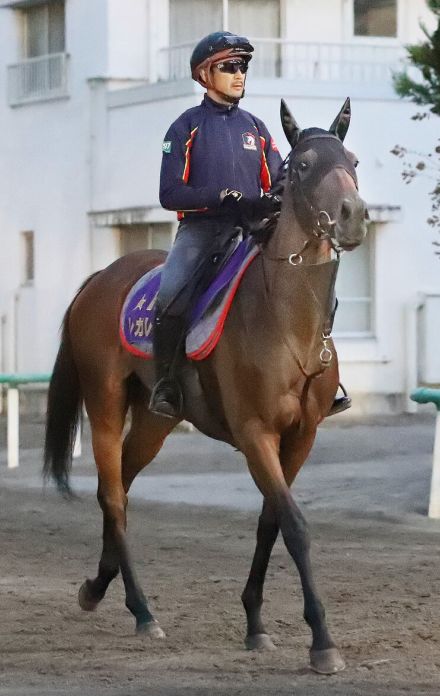 【ローズＳ】日本ダービー５着馬がキャリア初の牝馬限定戦で存在感見せつける