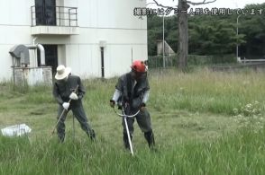 道端で轟音、たまに見かける〝草刈機〟危なくないの？歩行者の事故も　「小石が50m以上飛散」と注意喚起