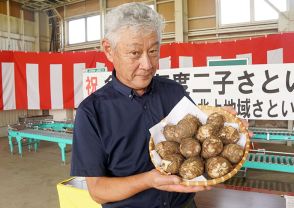 秋の味覚 食卓へ　二子さといも出荷開始・北上【岩手】