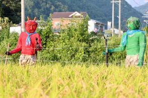 鳥よけの効果は…でも「100歳まで作りたい」　信州の田を彩るかかし