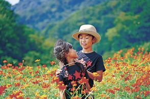 戸田さん（富山）最優秀賞　南砺・キバナコスモス写真審査