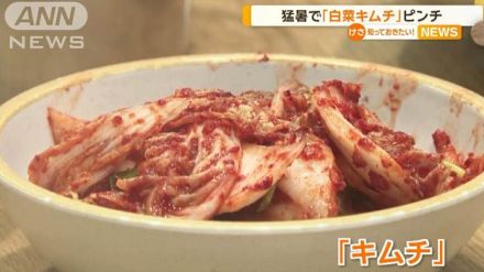 猛暑で白菜「キムチ」ピンチ　韓国