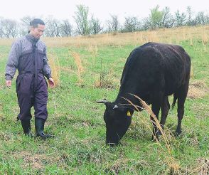 牧草と放牧だけで肉牛育てる技術　活用拡大の可能性は？　鍵は消費者ニーズ