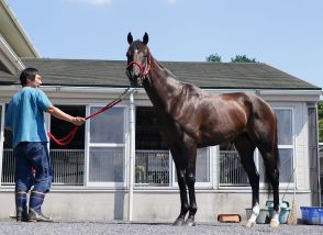 【セントライト記念】エコロヴァルツはどんなレースでもできる　牧浦師「どのコースでも走っている」