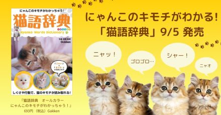 「ニャッ」は「オッス！」？　しぐさや行動で猫の気持ちがわかる『猫語辞典』