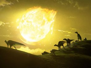 恐竜などを絶滅に導いた天体は「炭素に富んだ珍しい小惑星」の可能性が高い