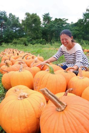 ハロウィーン用の特大カボチャを全国へ　オレンジ色が鮮やかになる理由とは…