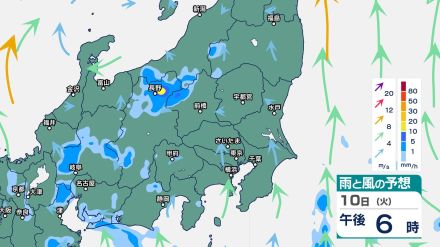 関東甲信では昼過ぎ～夜のはじめ頃にかけて激しい雷雨の恐れ　“警報級大雨”となる可能性も【11日（水）午後9時までの雨風シミュレーション・10日午前11時更新】